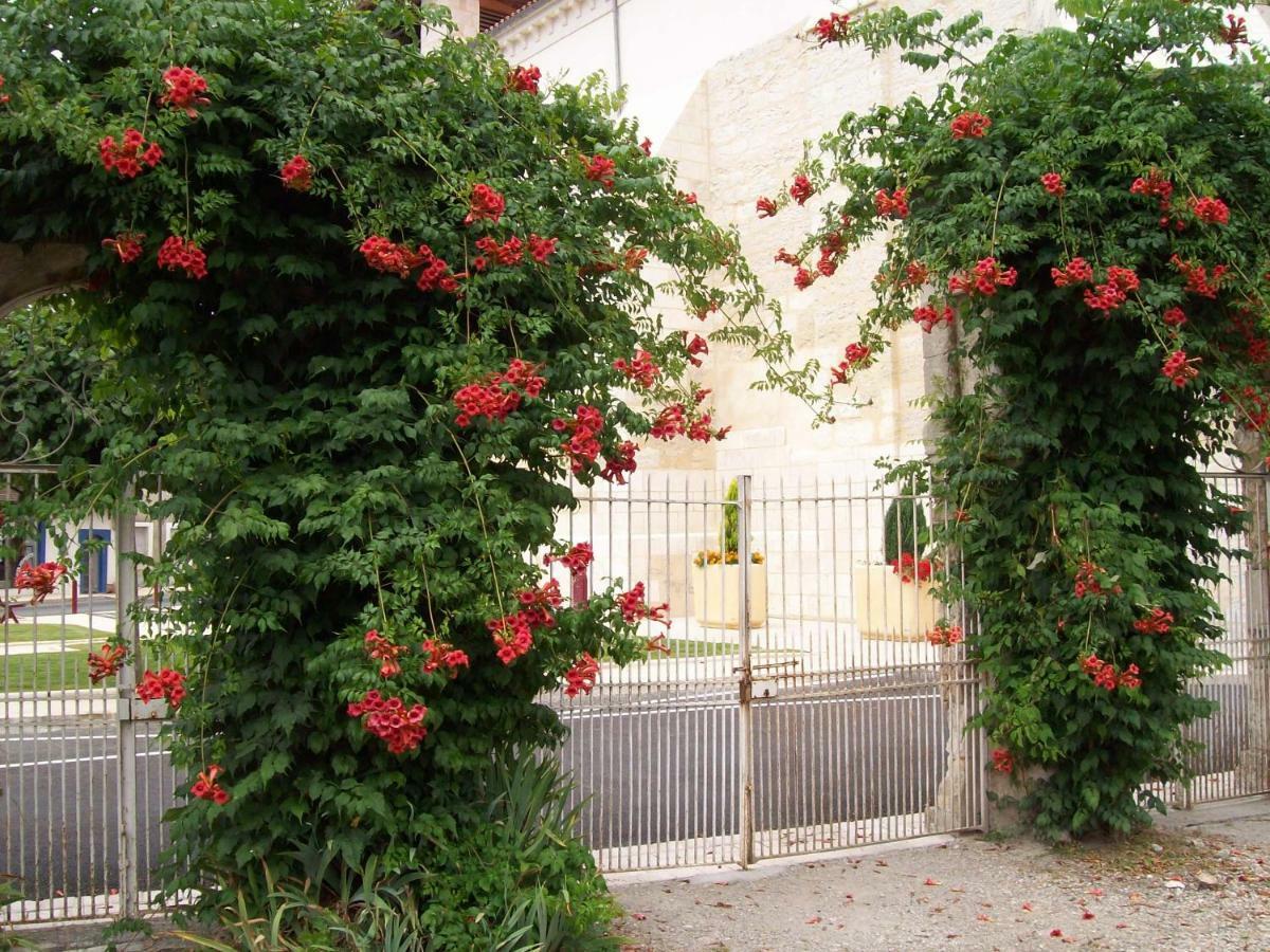 Château La Gentilhommière du Puits Notre-Dame 30 rue de l'église 24110 Saint Léon sur l'Isle Saint-Leon-sur-l'Isle Exterior foto